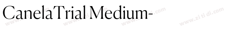 CanelaTrial Medium字体转换
